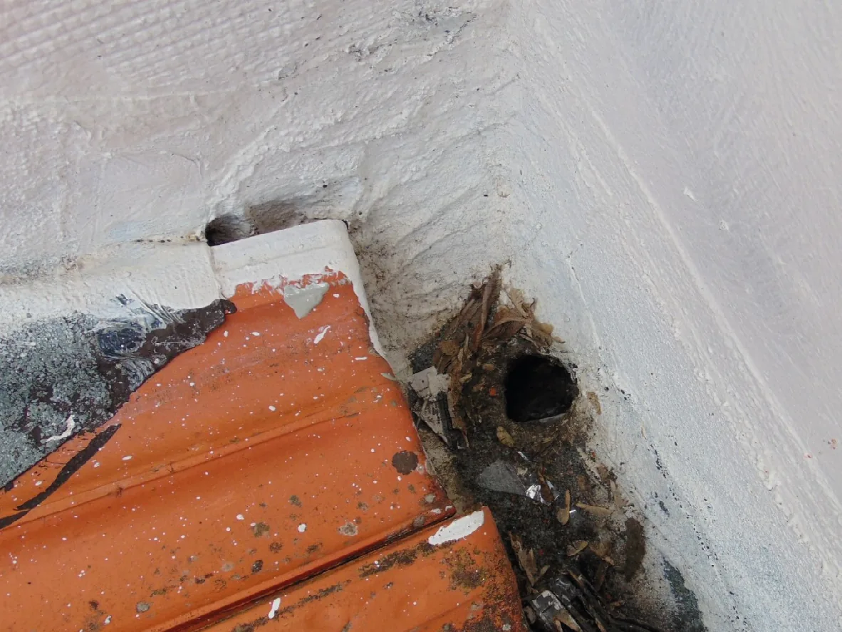 Image 4 from the Clean gutters and downspouts gallery.